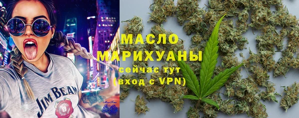 мет Дмитров