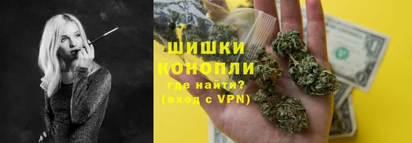 мет Дмитров