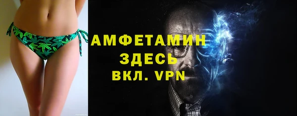 мет Дмитров