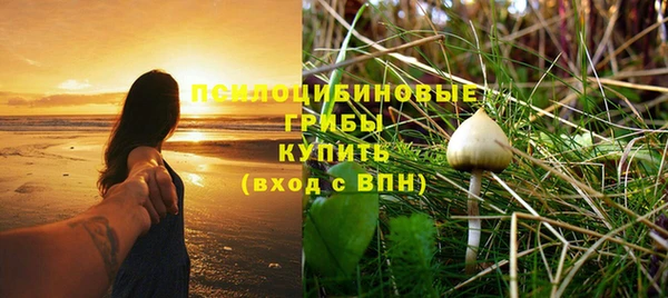 Альфа ПВП Дмитровск