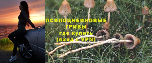 мет Дмитров
