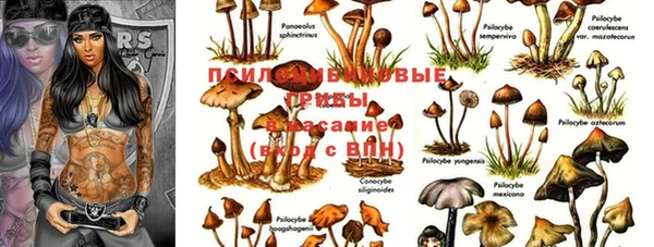 Альфа ПВП Дмитровск