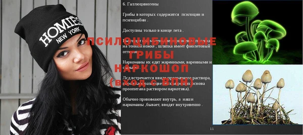 мет Дмитров