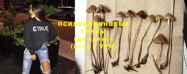 Альфа ПВП Дмитровск